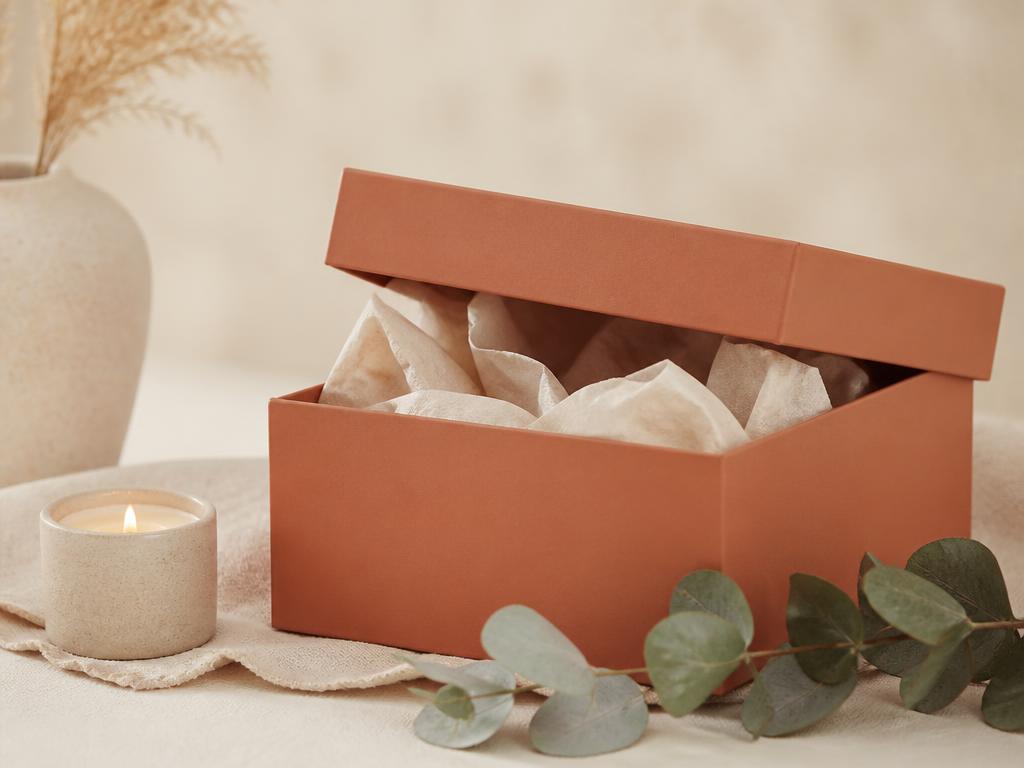 Growth box